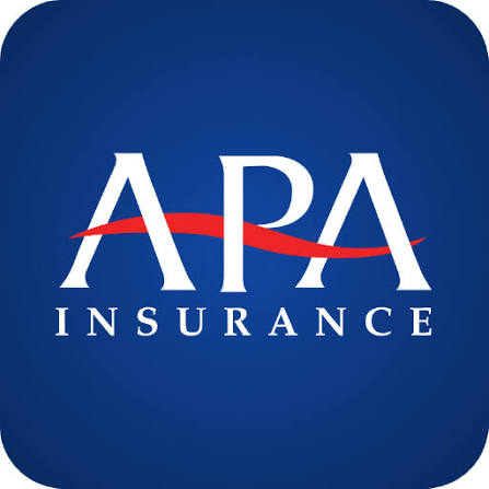 APA Insurance insurance logo